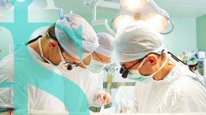Surgeons